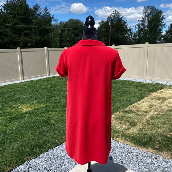 ZARA DRESS - Picture 10 of 14